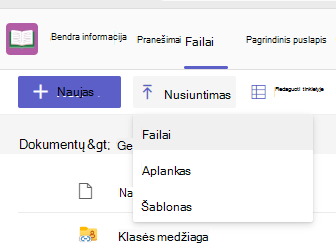 Nusiuntimo ekrano kopija.