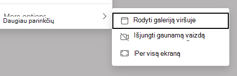 Rodinio parinkčių ekrano nuotrauka.