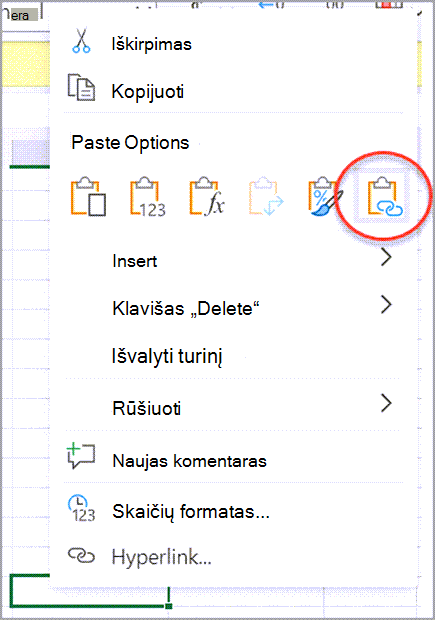 Darbaknygės saito kūrimas ekrano kopija Viena versija two.png