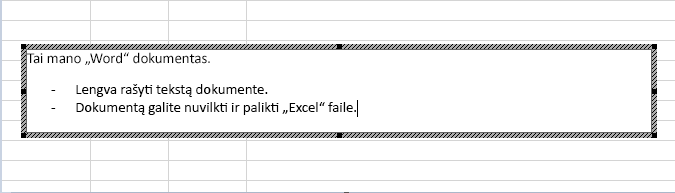 Šis įdėtasis objektas yra „Word“ dokumentas.