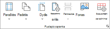 Ekrano nuotrauka, kurioje rodoma grupė Puslapio sąranka.