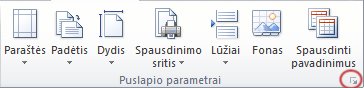 „Excel“ juostelės vaizdas