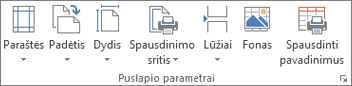 Grupė Puslapio sąranka skirtuke Puslapio maketas