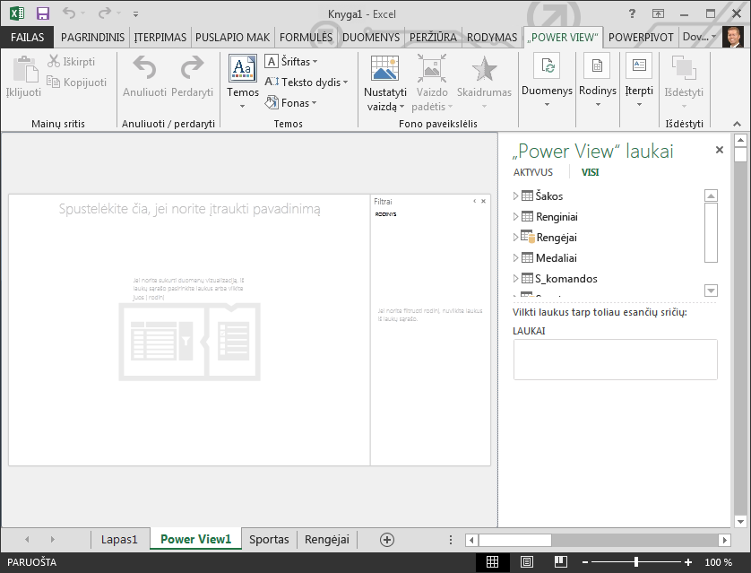 Tuščia „Power View“ ataskaita programoje „Excel“