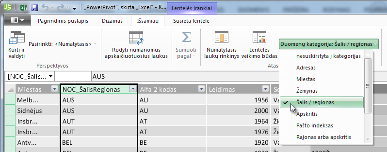 Duomenų kategorijos „PowerPivot“