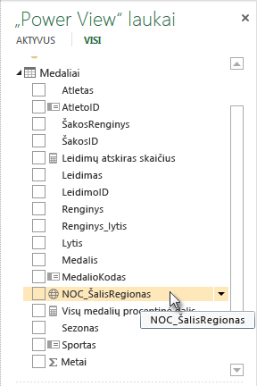 Geografinės vietos piktograma srityje „Power View“ laukai