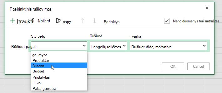 Stulpelio pasirinkimas pasirinktinio rūšiavimo dialogo lange