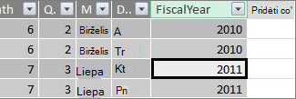 Stulpelis „Fiscal Year“