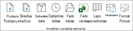 Ekrano nuotrauka, kurioje rodomi antraštės ir poraštės elementai.