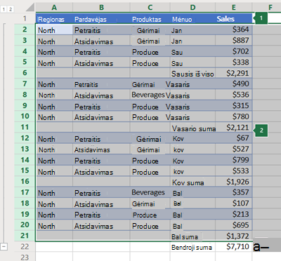 Eilučių struktūra programoje 