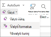 Grupės Redagavimas parinkties Valyti formatus ekrano nuotrauka.