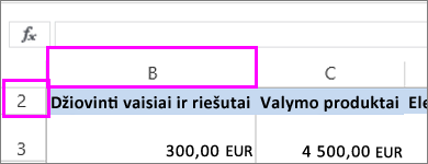 Paslėptas pirmasis stulpelis ir eilutė