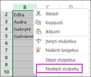 Neslėpimo parinktis