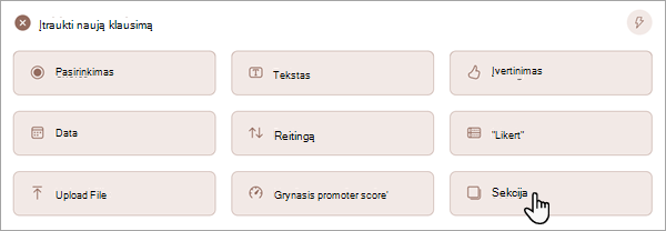 Ekrano kopija, kurioje rodoma, kaip į formą ar apklausą įtraukti naują sekciją.