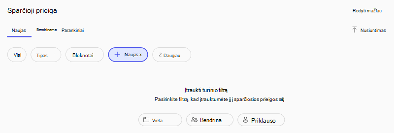 papildomų filtrų 