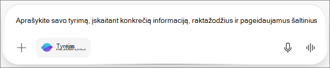 Tyrinėtojo mygtukas pokalbių lauke „Copilot“ bloknotai