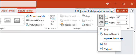 Ekrano kopijoje pavaizduotos juostelėje esančios paveikslėlio formato parinktys ir programoje 