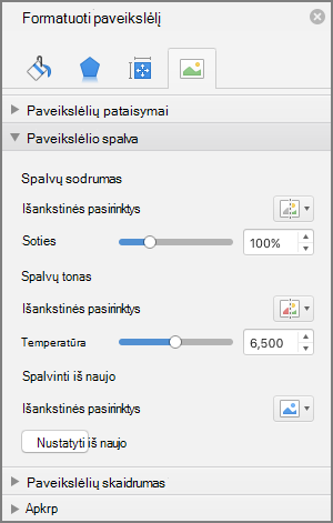 Spalvų sodrumo parametrų koregavimas srityje Paveikslėlio formatavimas