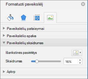 Spalvos skaidrumo reguliavimas srityje Paveikslėlio formatavimas