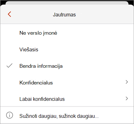 Slaptumo meniu ekrano nuotrauka, rodanti galimas slaptumo žymas.