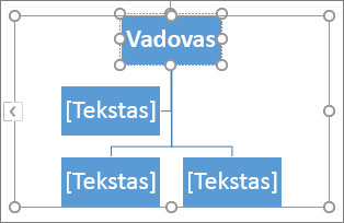 Teksto įvedimas „SmartArt“ grafinio elemento lauke