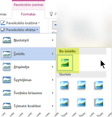 Išjunkite nepageidaujamą paveikslėlio efektą pasirinkdami parinktį Be efekto.