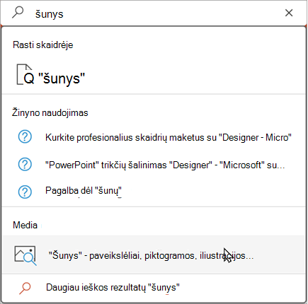 Norėdami peržiūrėti siūlomus rezultatus, įveskite tekstą ieškos juostoje