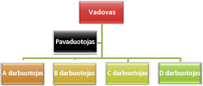 Organizacijos schema su atvirkštinės įtraukos maketu Standartinis