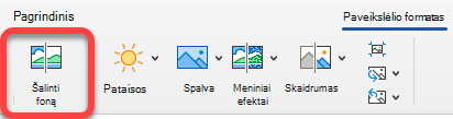 Parinktis Šalinti paveikslėlį yra 