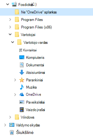 Failų naršyklės rodinys