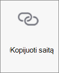 Saito kopijavimo mygtukas programoje 