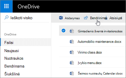 Ekrano nuotrauka, vaizduojanti „„OneDrive““ pasirinktą failą ir mygtuką Bendrinti.