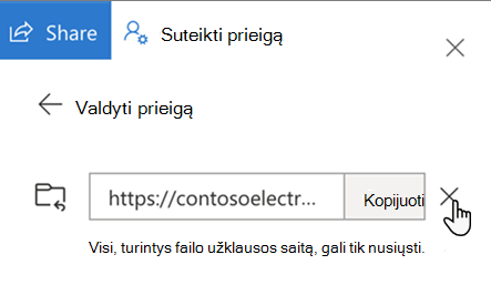 Prieigos prie failų užklausų sustabdymo vartotojo sąsaja