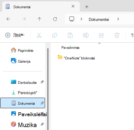 Dokumentų aplankas su 