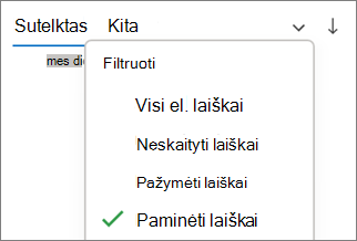 Minėtų laiškų filtravimas programoje 