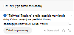 Rodo suvestinę programoje 