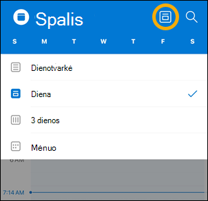 iOS Calendar view button options