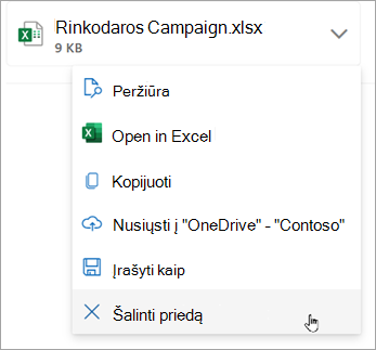 Pasirinkite šalia priedo esančią rodyklę žemyn, tada pasirinkite Pašalinti priedą