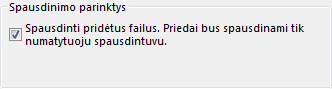 Priedo failo spausdinimo parinktys dialogo lange „Spausdinimas“