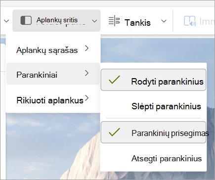 Aplankų srities išplečiamojo sąrašo su pasirinkta Rodyti parankinius ir Prisegti parankinius ekrano nuotrauka