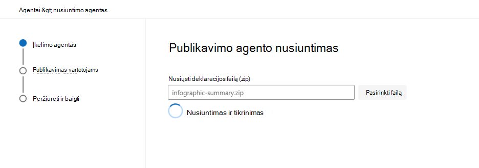 Ekrano kopija, kurioje rodomi paketo tikrinimo rezultatai 