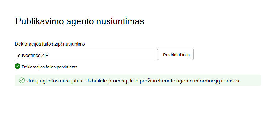 Ekrano kopija, kurioje rodoma sėkmingo paketo tikrinimo informacija.