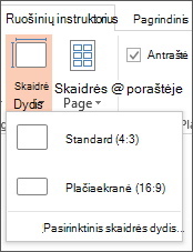 Ekrano kopija, kurioje rodoma skaidrės dydžio parinktis