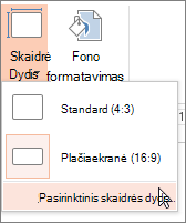 Pasirinktinio skaidrių dydžio meniu parinktis