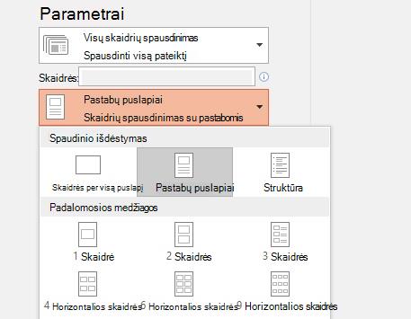 pastabų spausdinimo parinkčių ekrano nuotrauka