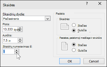 rodomas skaidrių dydžio dialogo langas programoje „PowerPoint“
