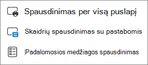 Spausdinimo pasirinkimų meniu.