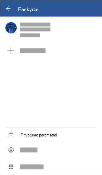 Ekrano kopija, kurioje matoma parinktis Privatumo parametrai sistemoje 