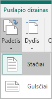 Page Design tab with Orientation selected and options of Portrait or Landscape.