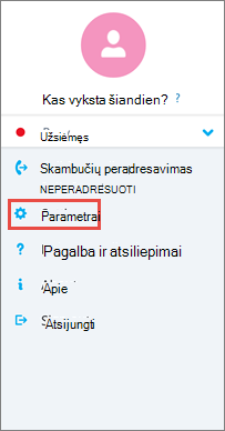 Parinkčių ekranas 